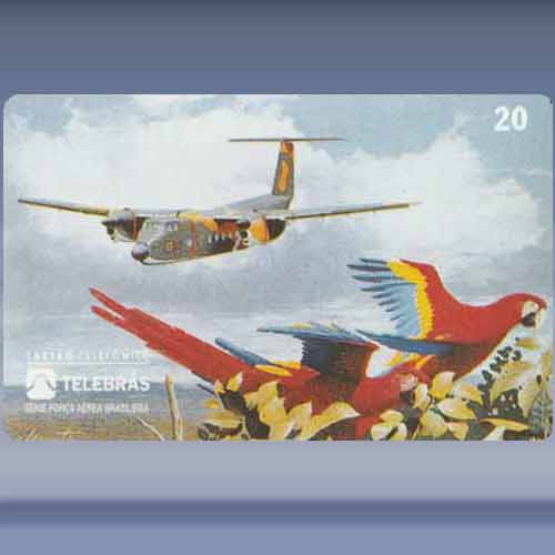 C115 - Búfalo